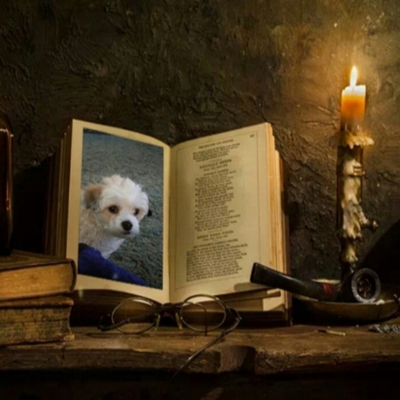 Sunday Made Simple  1pm  PST  January 18 - Picture 7 of 7